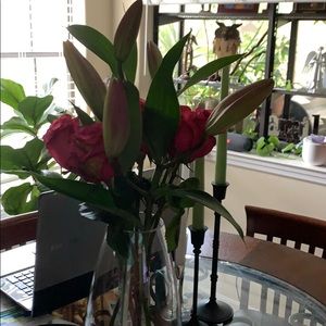 Meet your Posher, Wanda